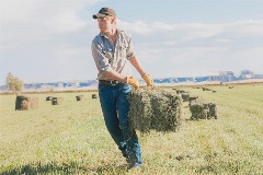 Hay Fire Brochure Image