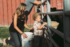 Livestock Protection Thumbnail