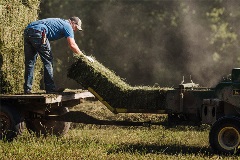 PRF Brochure Thumbnail