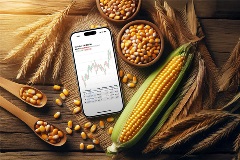 RPowered Brochure Thumbnail