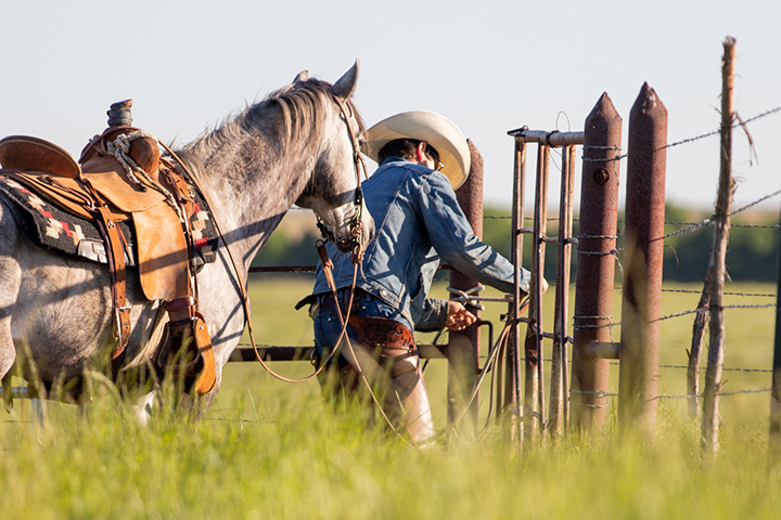 Rancher in field with a horse